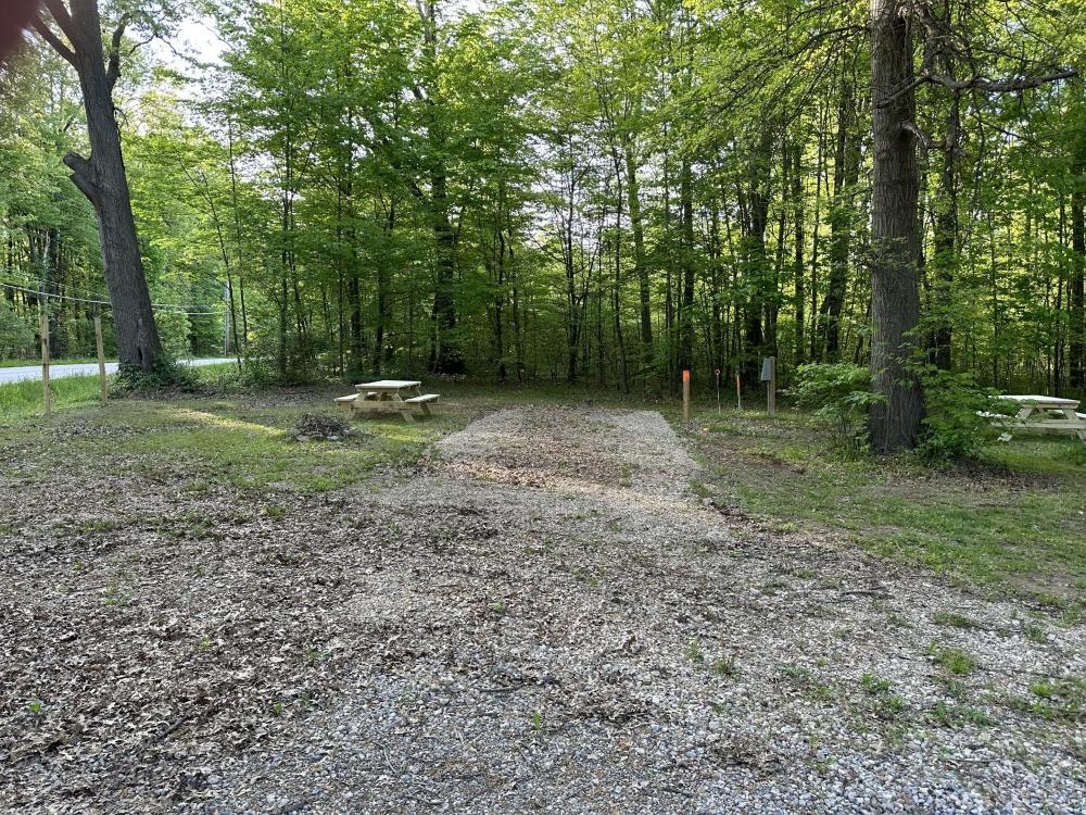 Empty Lot interior