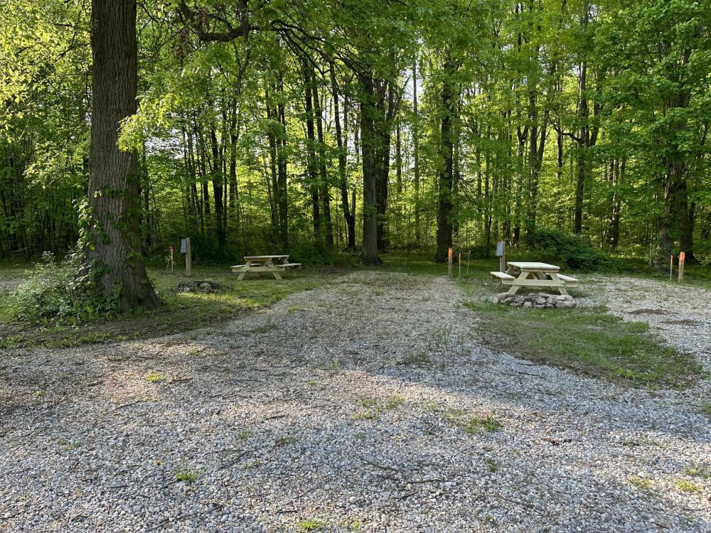 Empty Lot interior