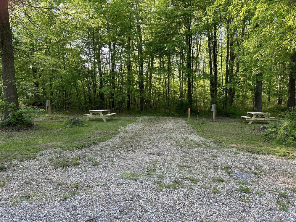 Empty Lot interior