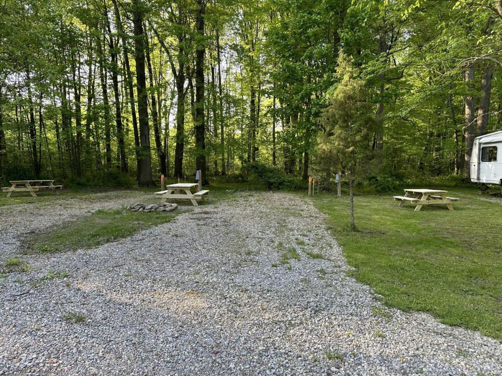 Empty Lot interior